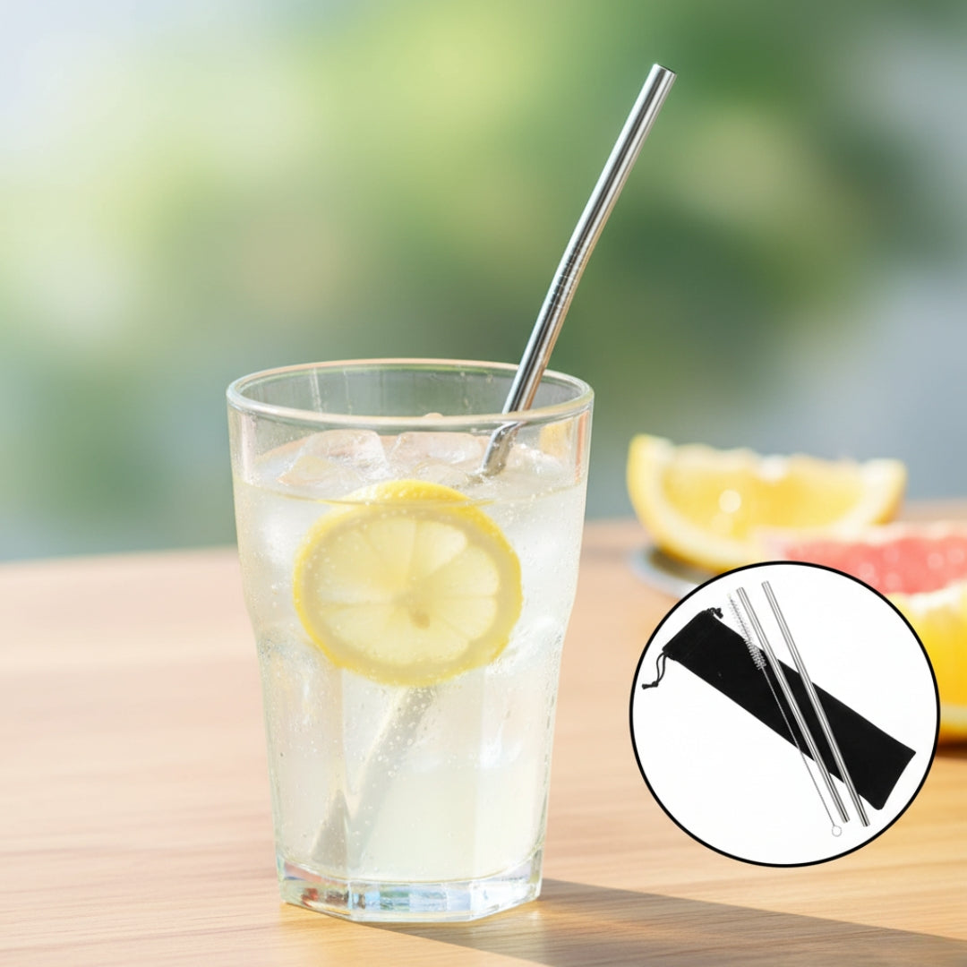 Reusable Stainless Steel Straws – 4 Pcs Set with Case & Brush