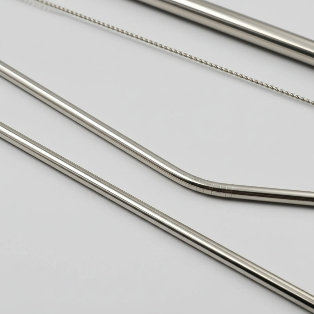 Reusable Stainless Steel Straws – 4 Pcs Set with Case & Brush