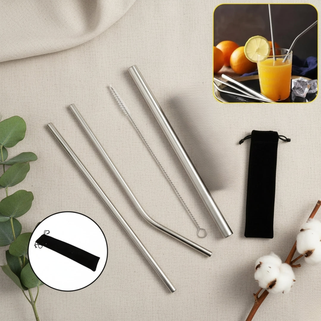 Reusable Stainless Steel Straws – 4 Pcs Set with Case & Brush