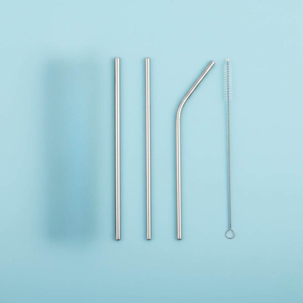 Reusable Stainless Steel Straws – 4 Pcs Set with Case & Brush