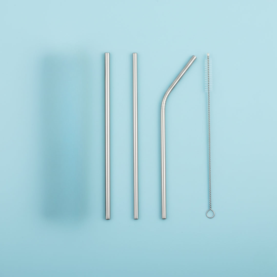 Reusable Stainless Steel Straws – 4 Pcs Set with Case & Brush